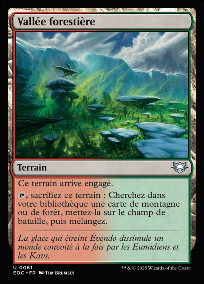 Vallée forestière