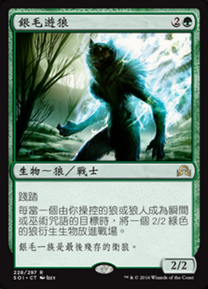 銀毛遊狼