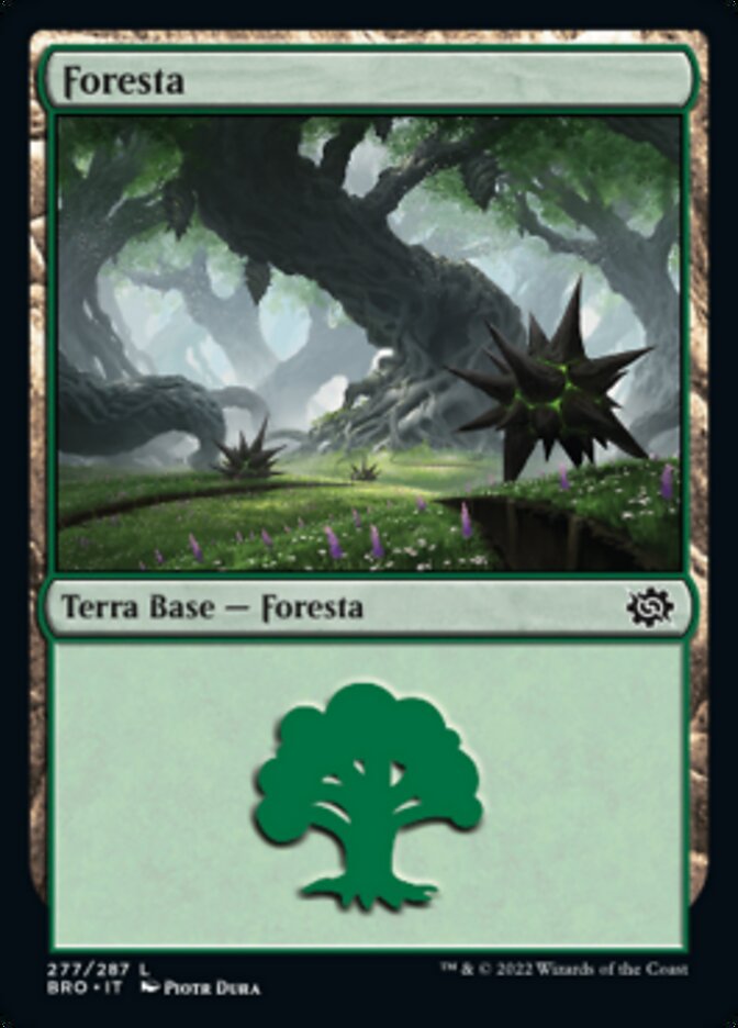 Foresta