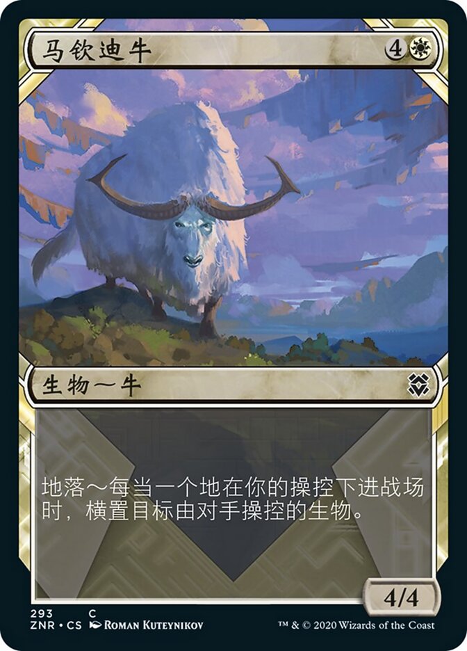 马钦迪牛