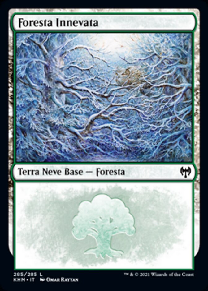 Foresta Innevata