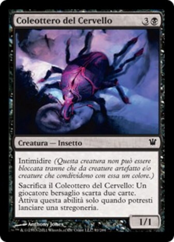 Coleottero del Cervello