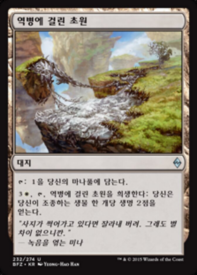 역병에 걸린 초원