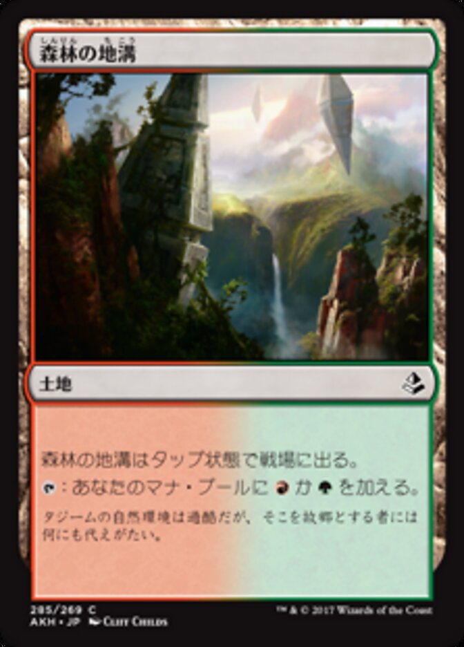 森林の地溝