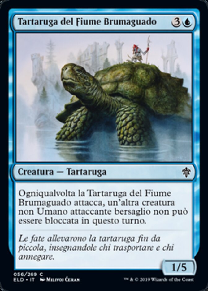 Tartaruga del Fiume Brumaguado