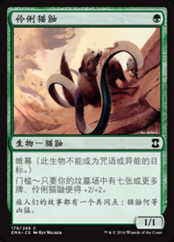 伶俐猫鼬