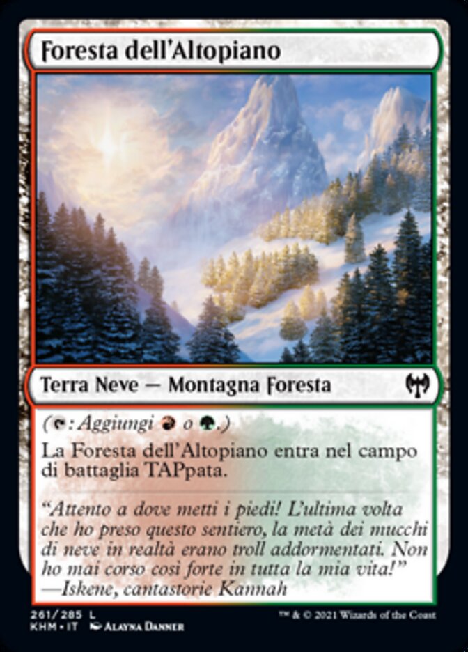 Foresta dell'Altopiano