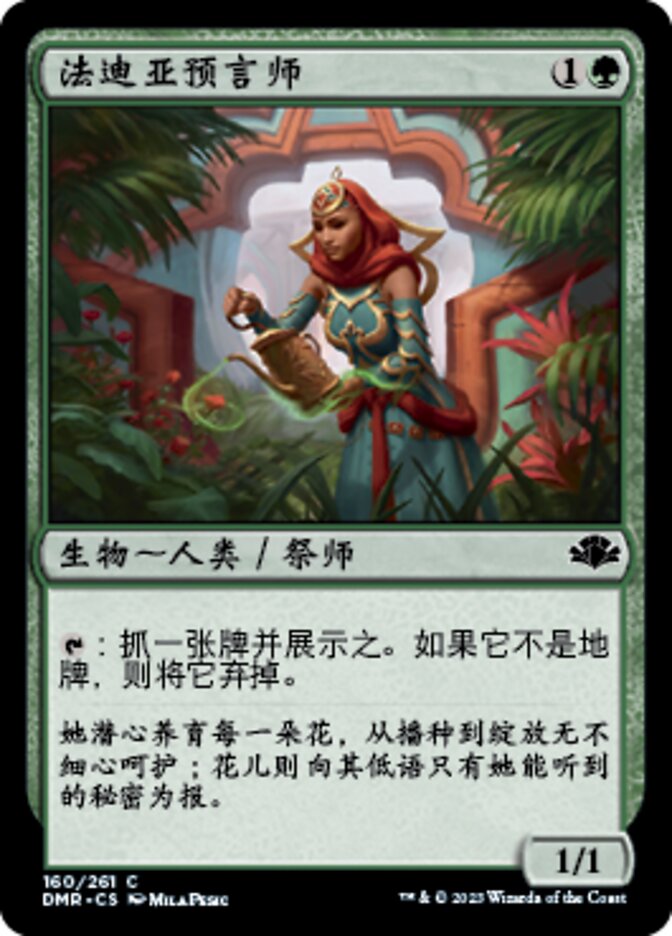 法迪亚预言师