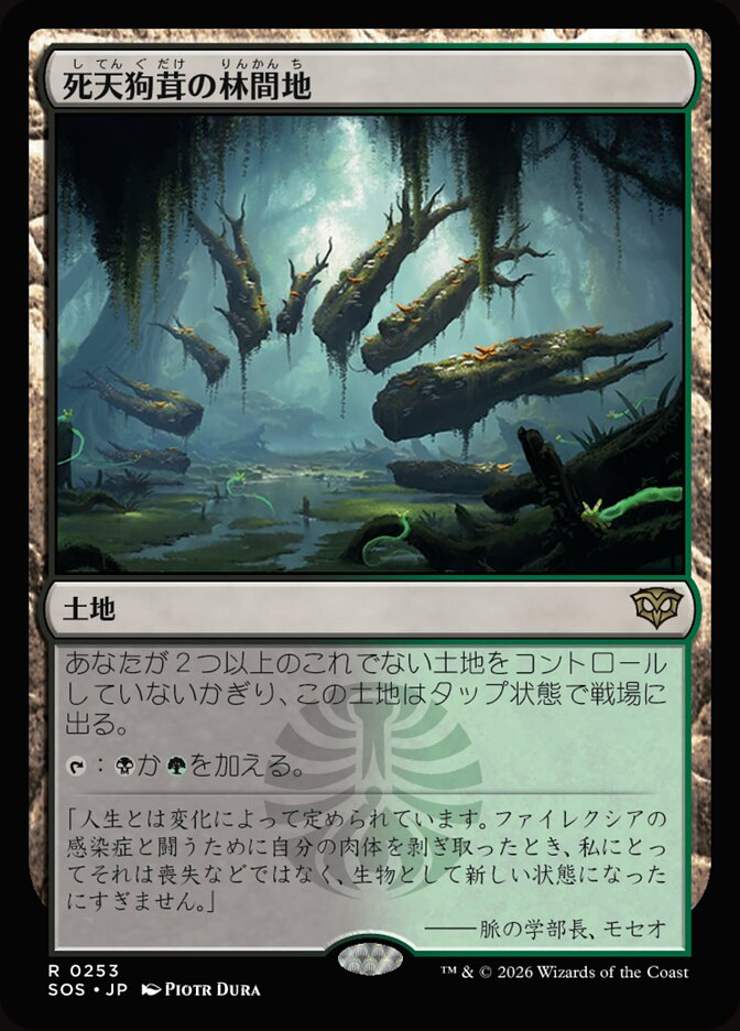死天狗茸の林間地