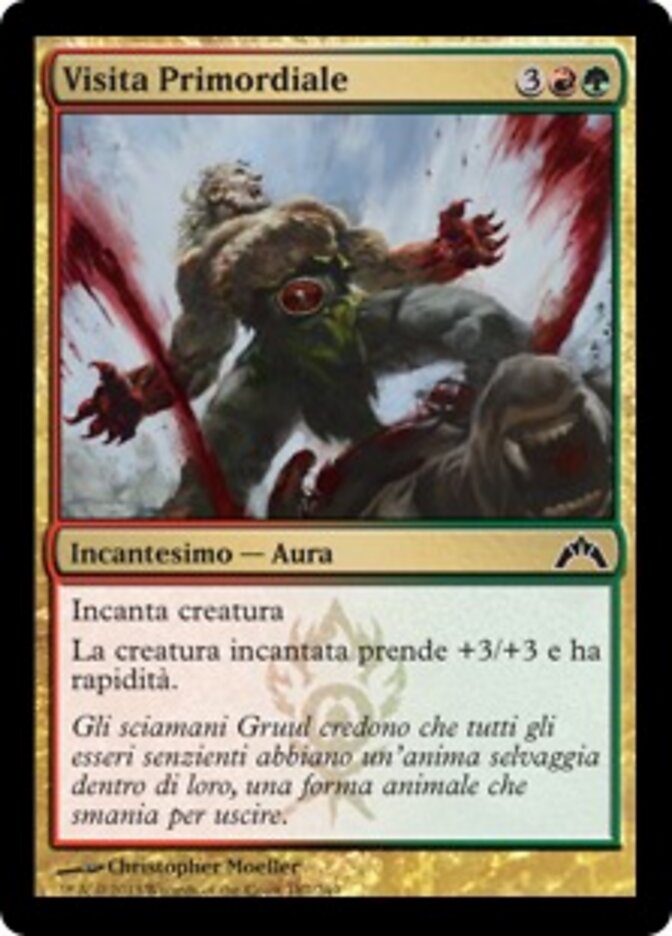 Visita Primordiale