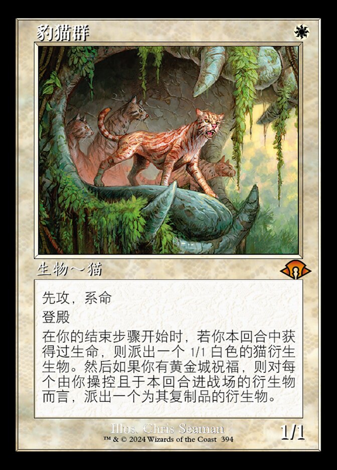 豹猫群