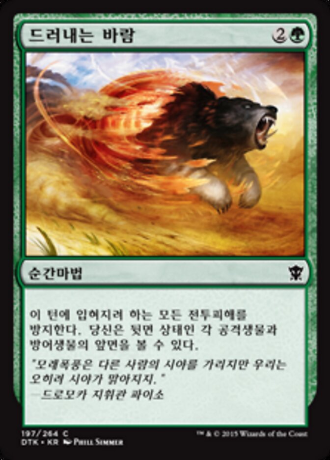드러내는 바람