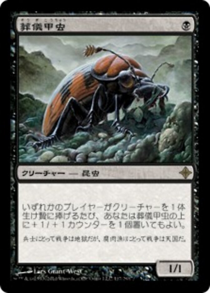 葬儀甲虫