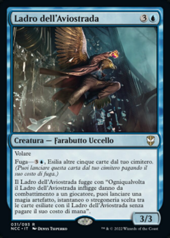 Ladro dell'Aviostrada