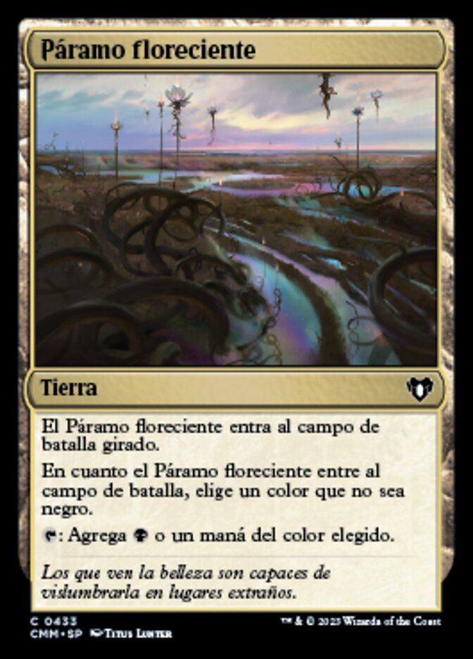 Páramo floreciente