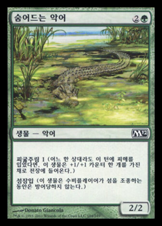 숨어드는 악어