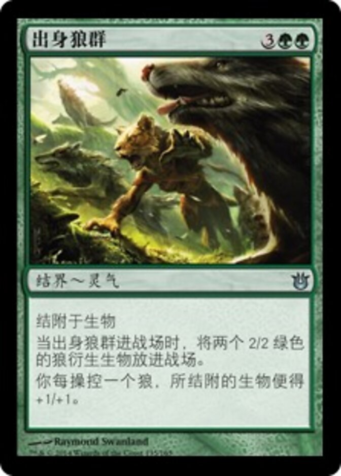 出身狼群