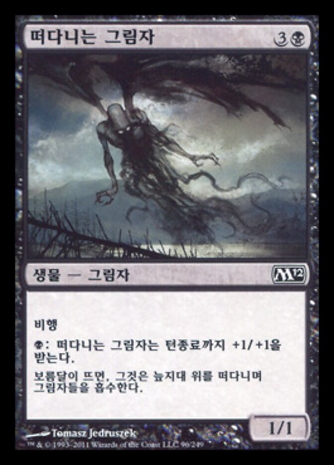 떠다니는 그림자