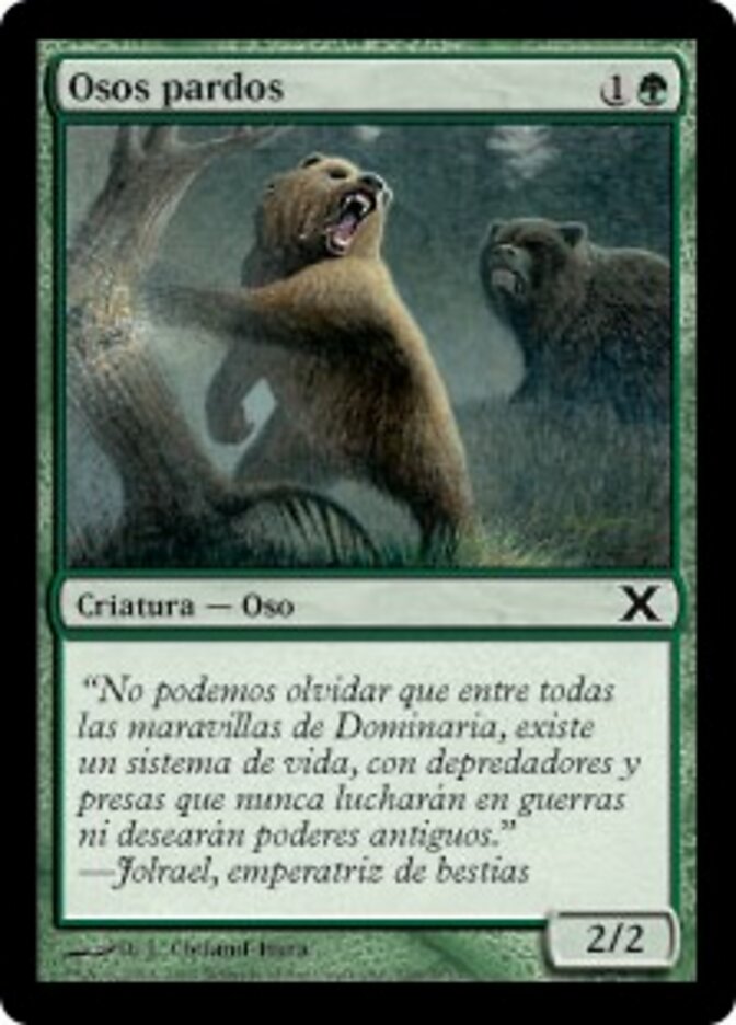 Osos pardos
