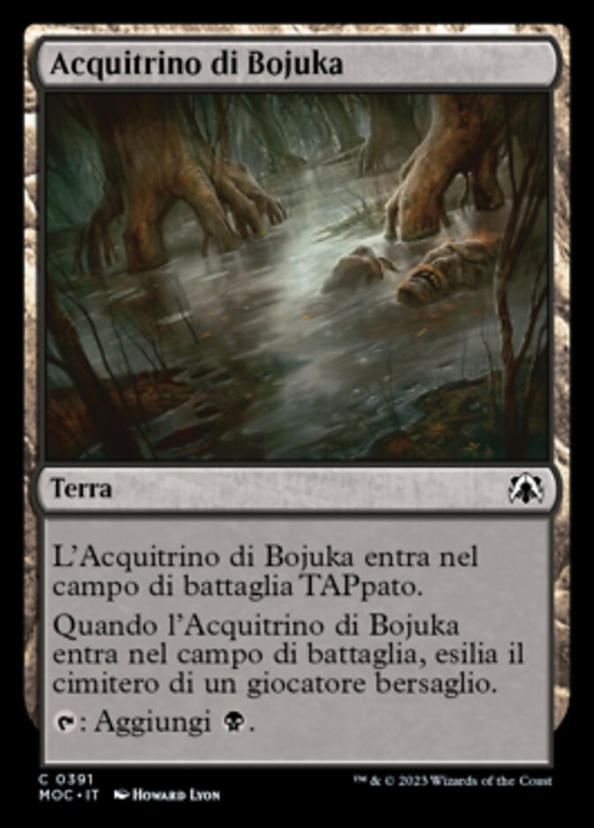 Acquitrino di Bojuka