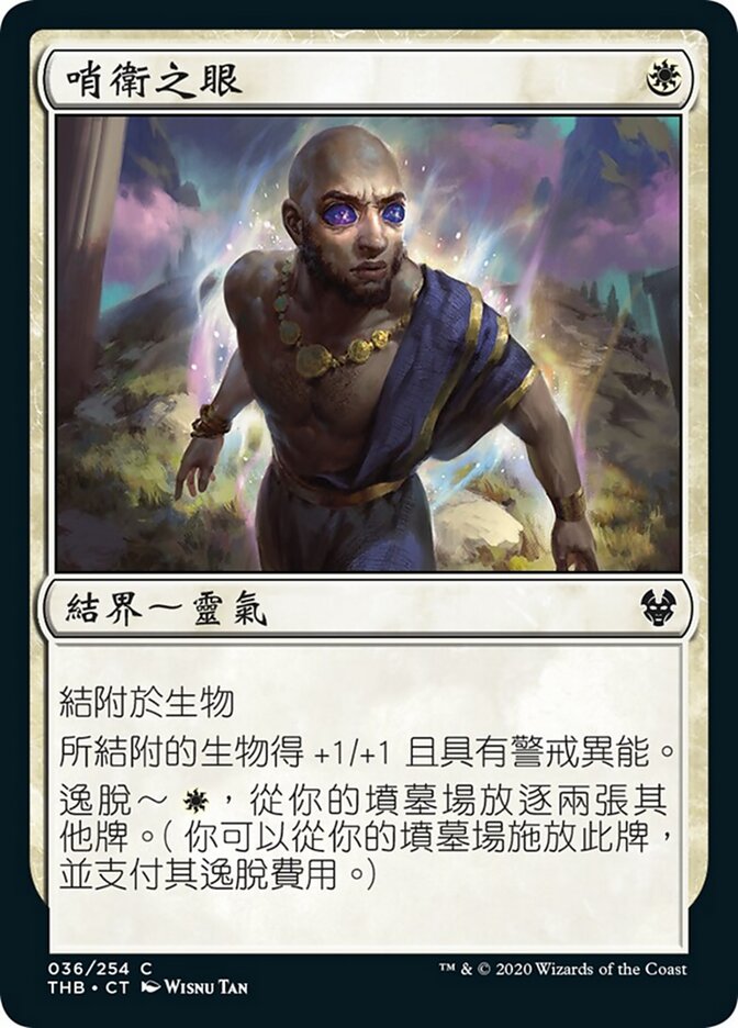 哨衛之眼