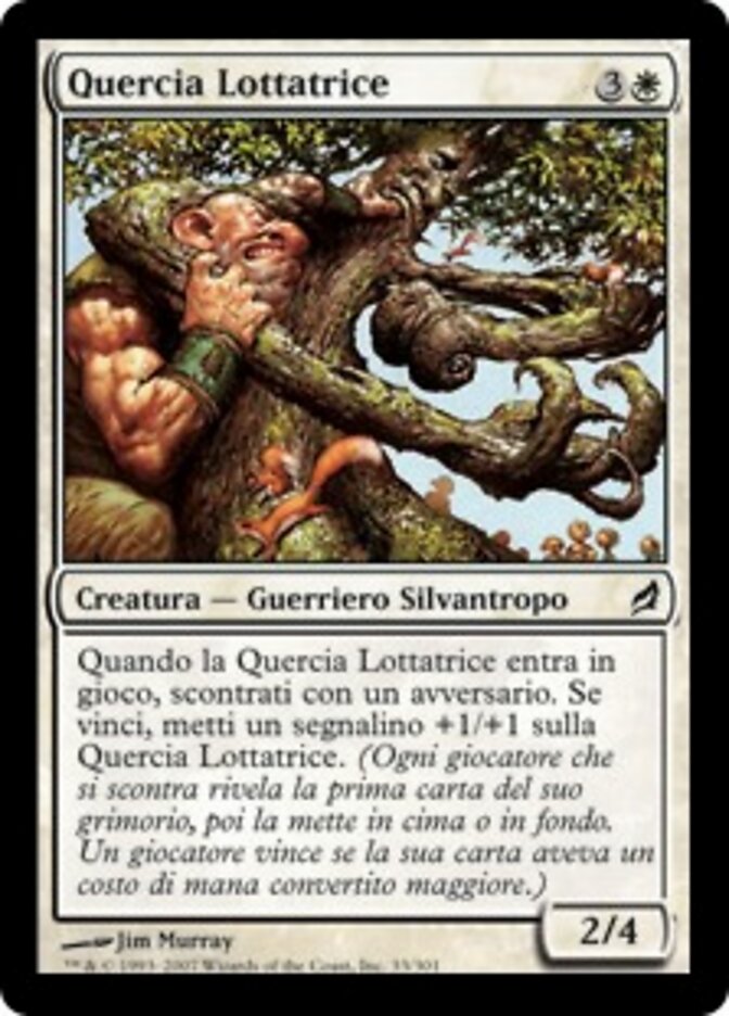 Quercia Lottatrice