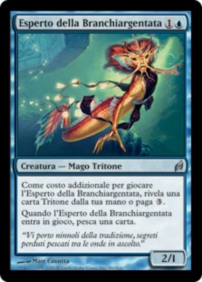 Esperto della Branchiargentata