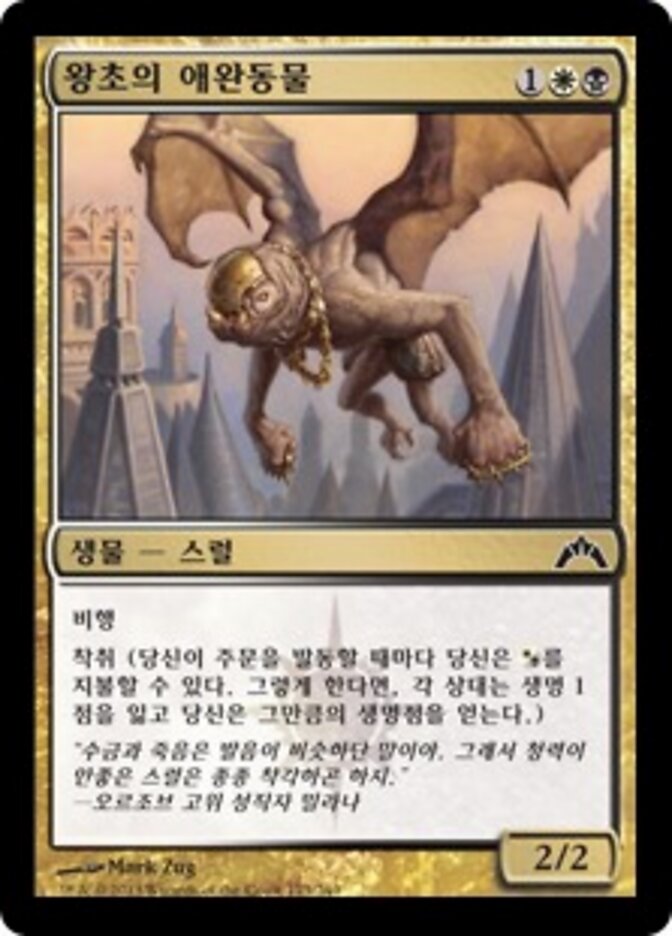 왕초의 애완동물