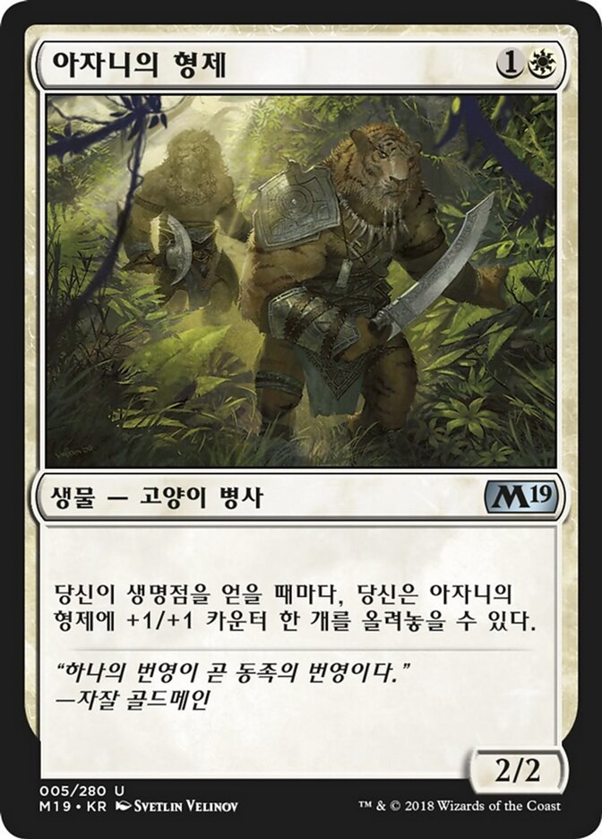 아자니의 형제