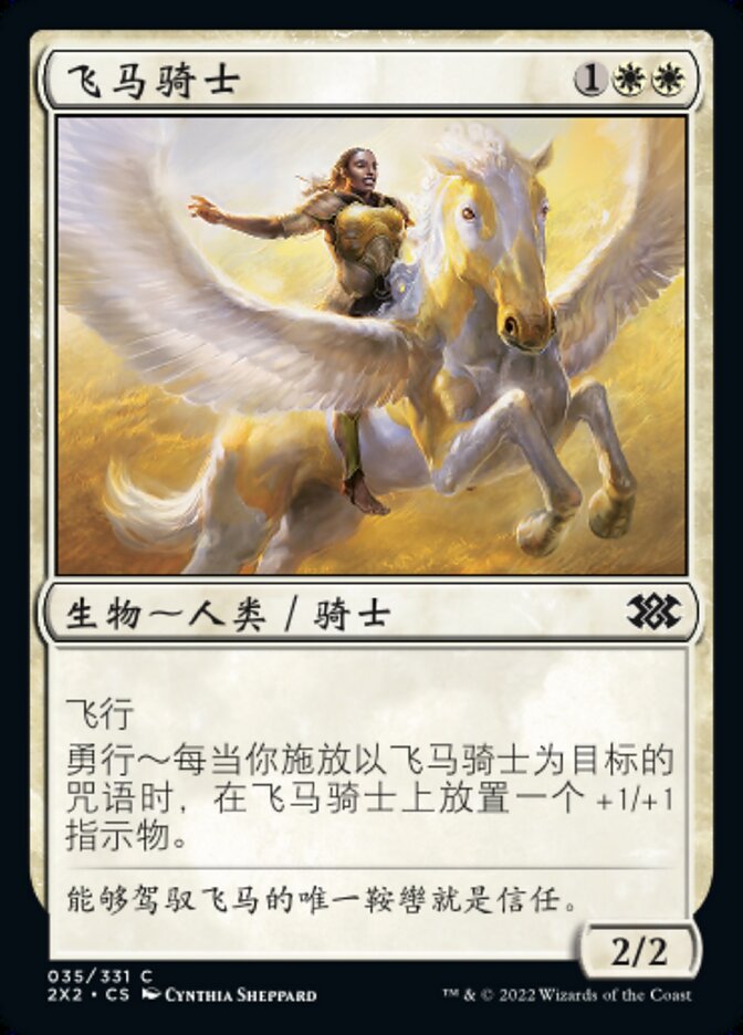 飞马骑士