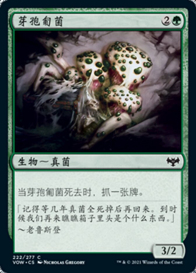 芽孢匍菌