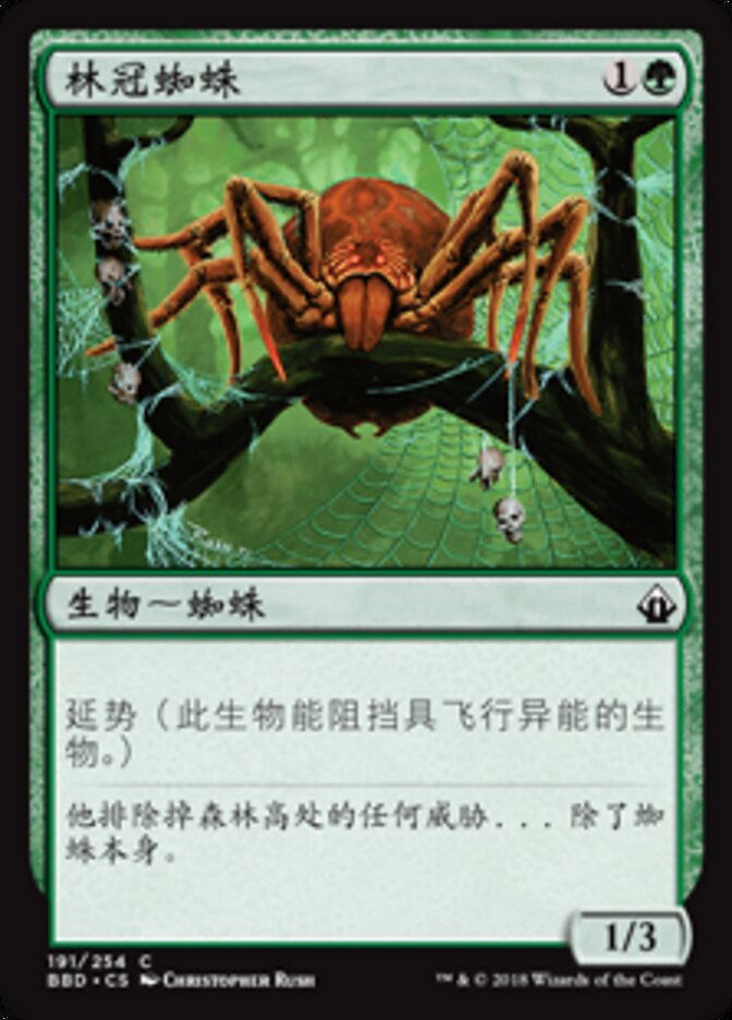 林冠蜘蛛