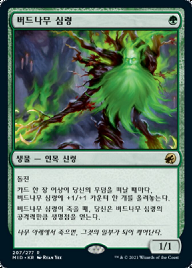 버드나무 심령