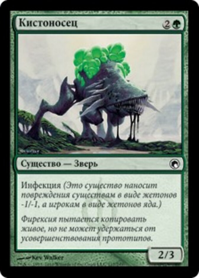 Кистоносец