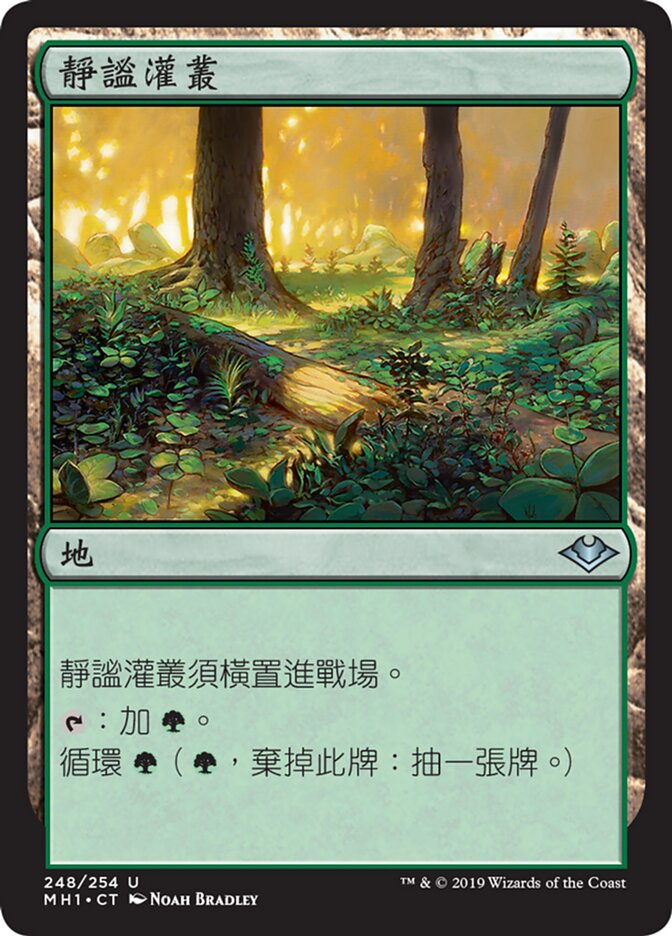 靜謐灌叢