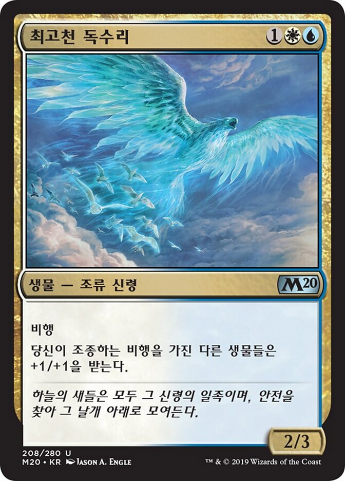 최고천 독수리
