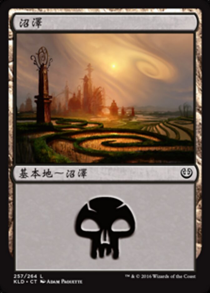 沼澤