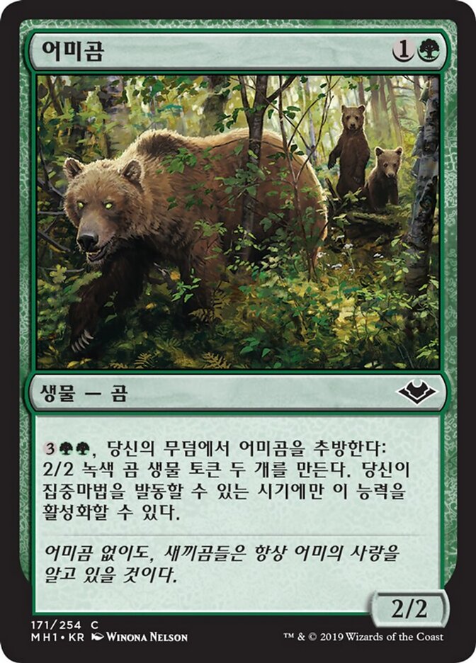 어미곰