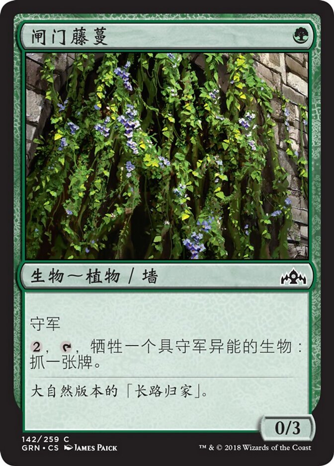 闸门藤蔓