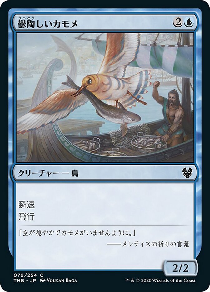 鬱陶しいカモメ