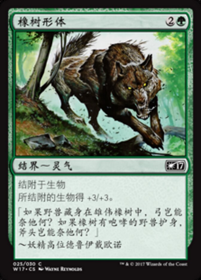 橡树形体