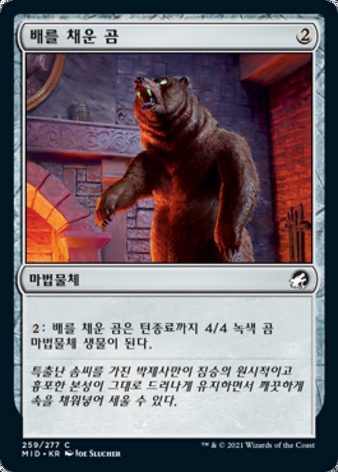 배를 채운 곰