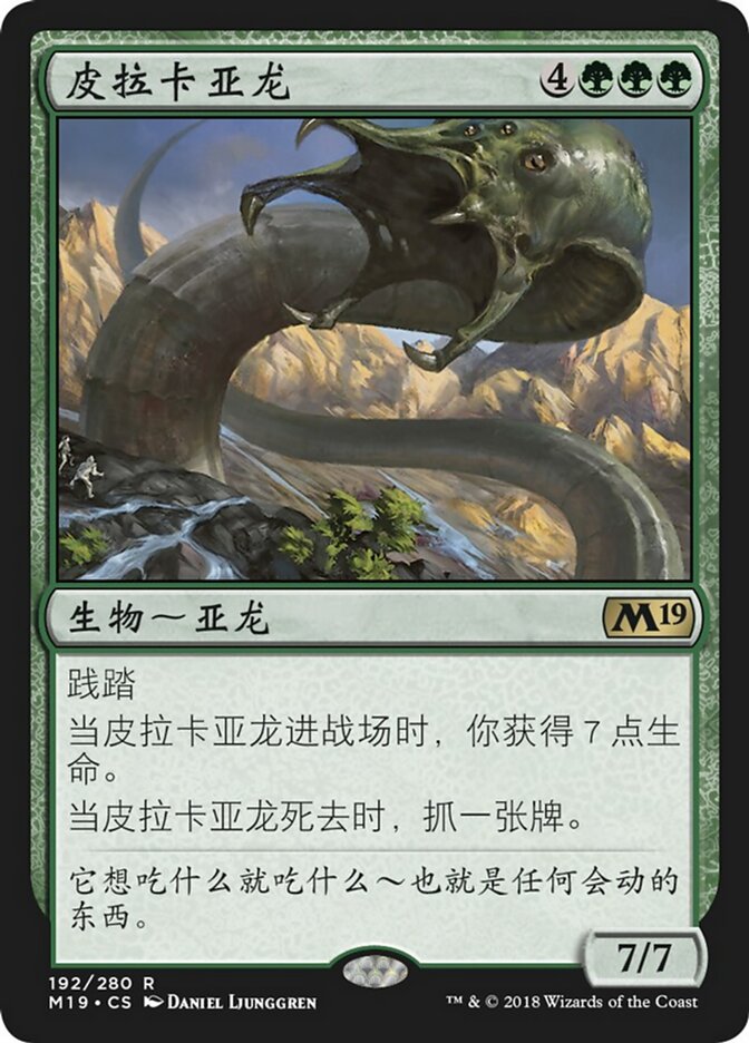 皮拉卡亚龙