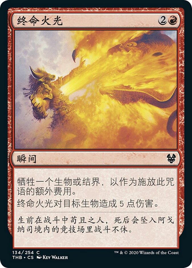 终命火光