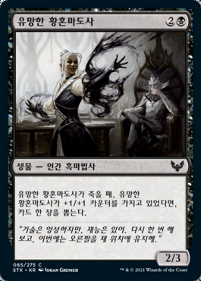 유망한 황혼마도사