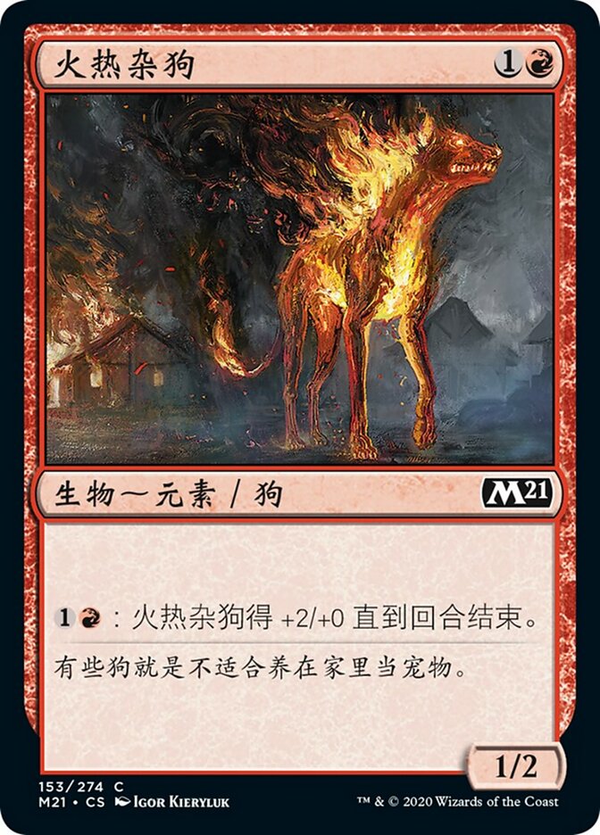 火热杂狗