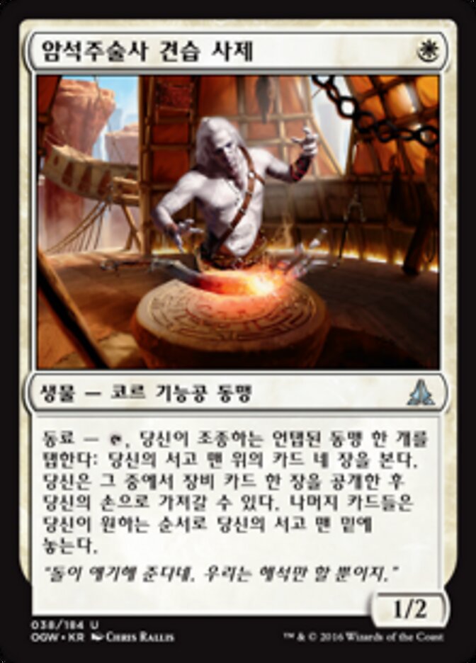 암석주술사 견습 사제