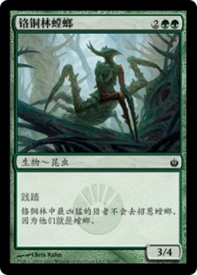 铬铜林螳螂