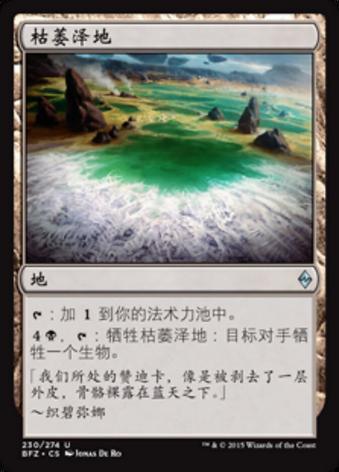 枯萎泽地