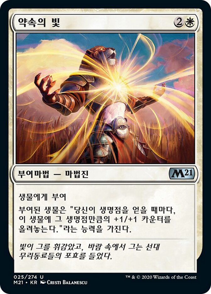 약속의 빛